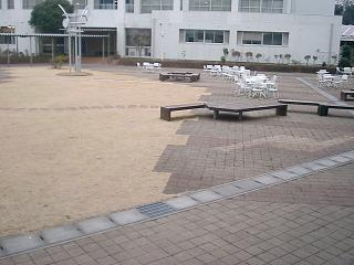 010.jpg
