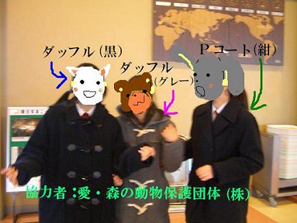 CIMG1178.jpg