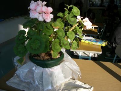 花