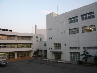 芝柏