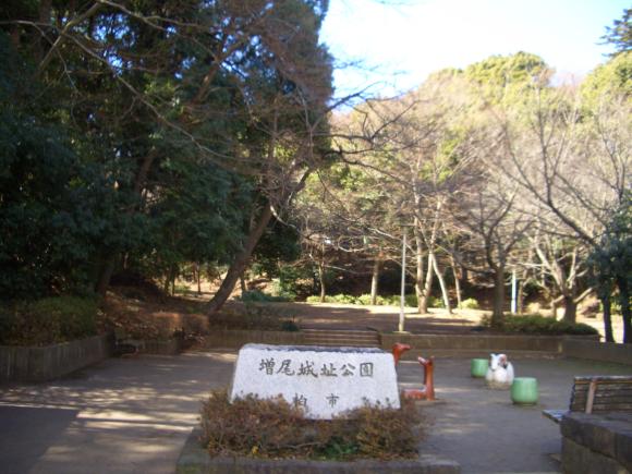 ここが城址公園です。植物観察をしたりできます。