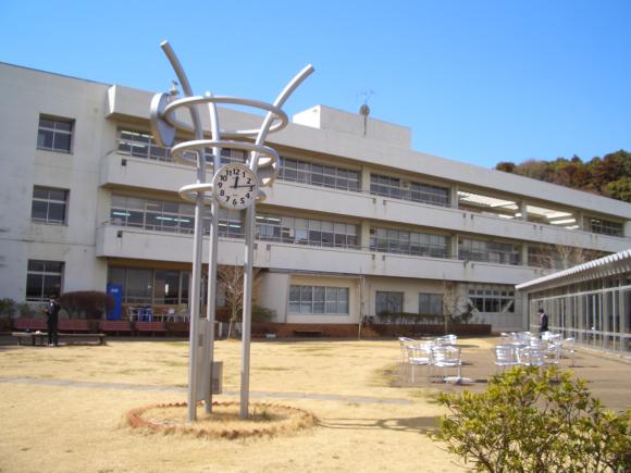 ここが中庭です。いつもぽかぽかで温かいです。