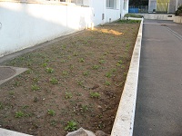 写真�@