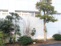 写真�@
