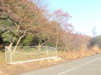 写真�@
