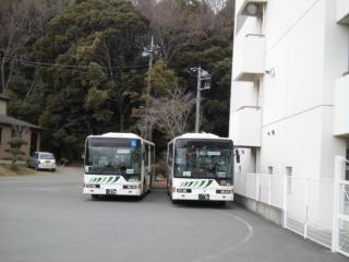 バス