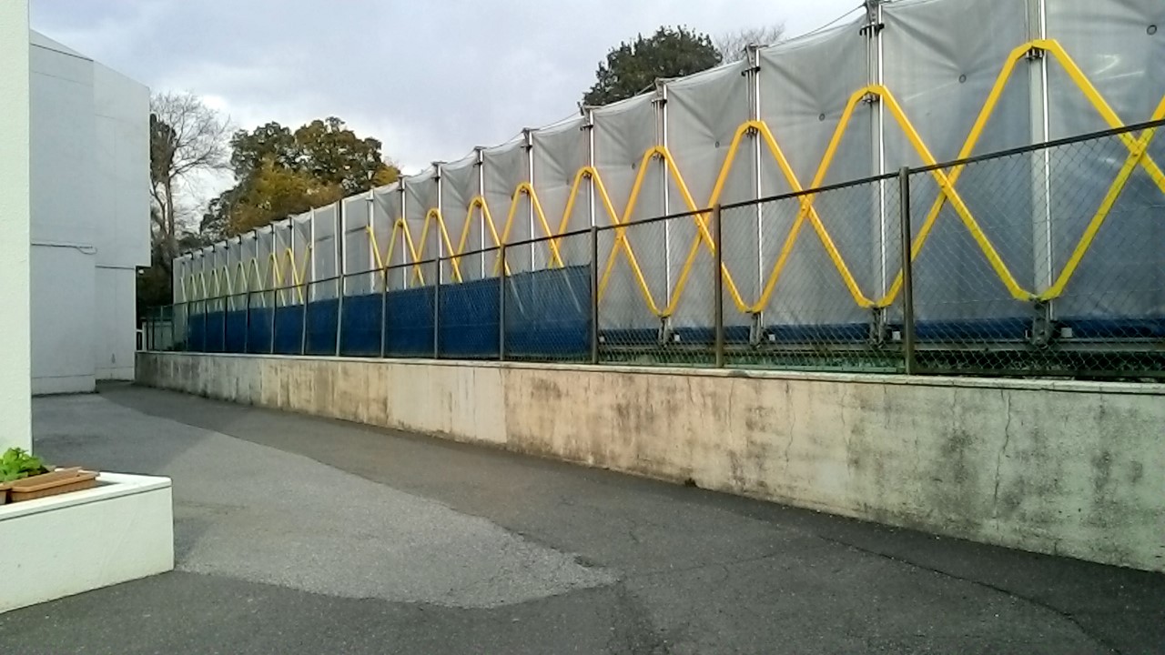 134.jpg