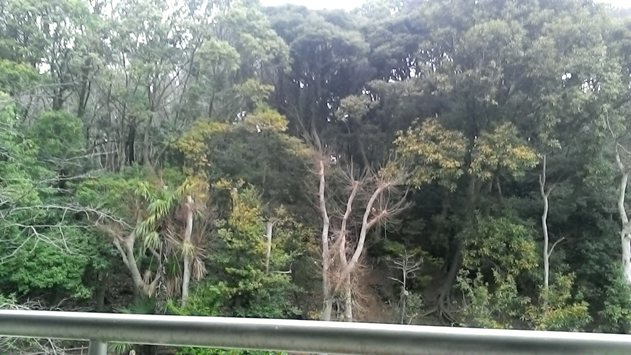 城址公園の画像