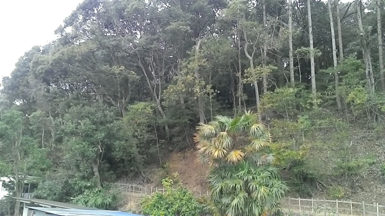 城址公園の写真
