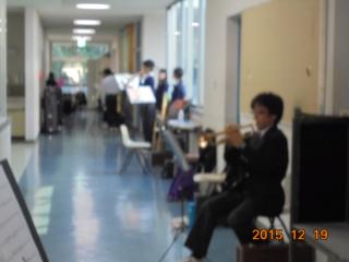 写真の説明