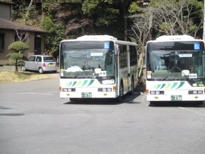 バス