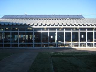 seibutu