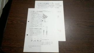 rika1.jpg(7060 byte)