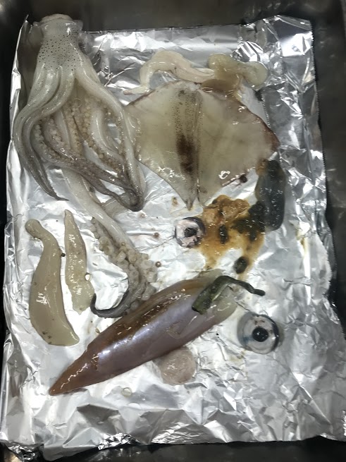 あいうえお