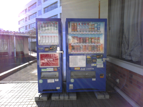 中庭
