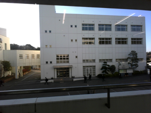 中庭