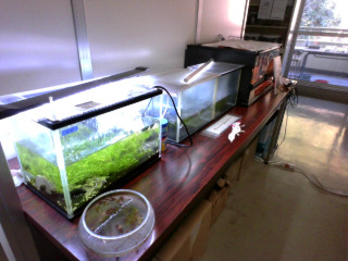 生物実験室