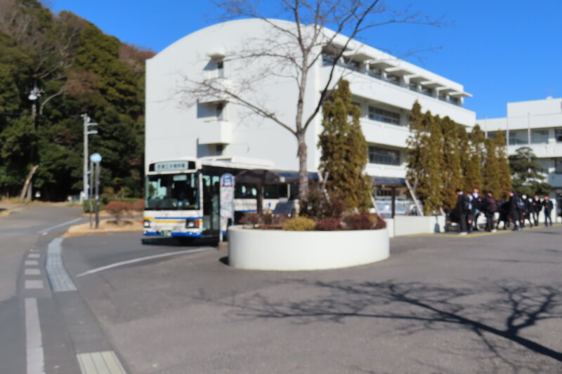 bus