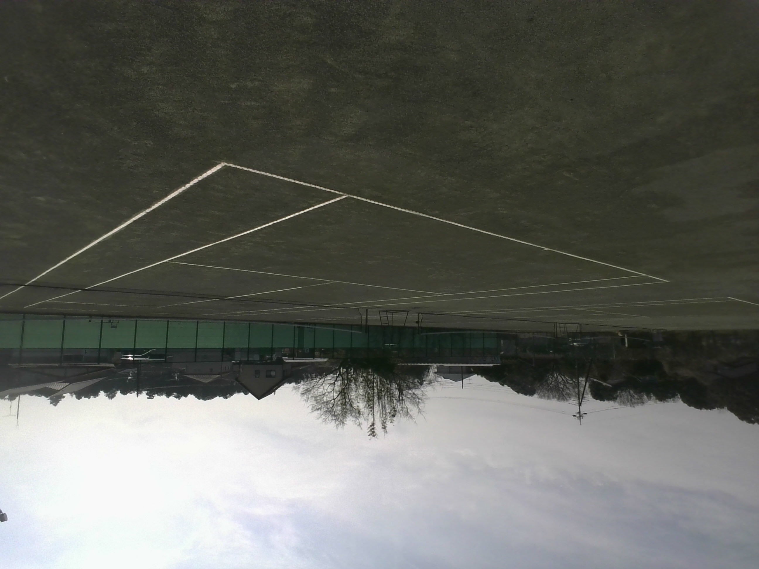 ソフトテニス部の写真