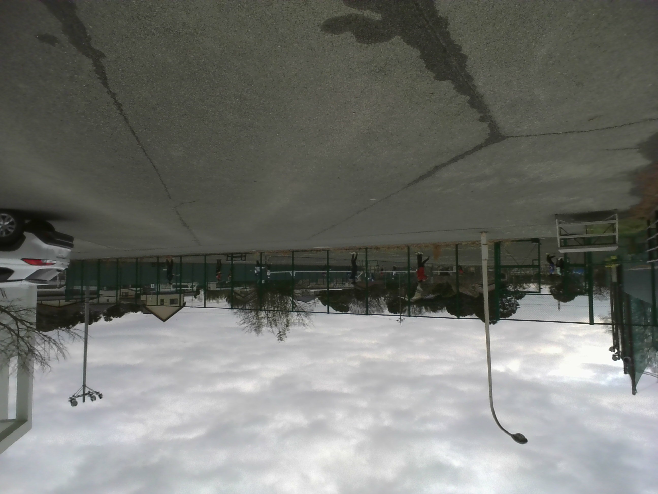 ソフトテニス部の写真