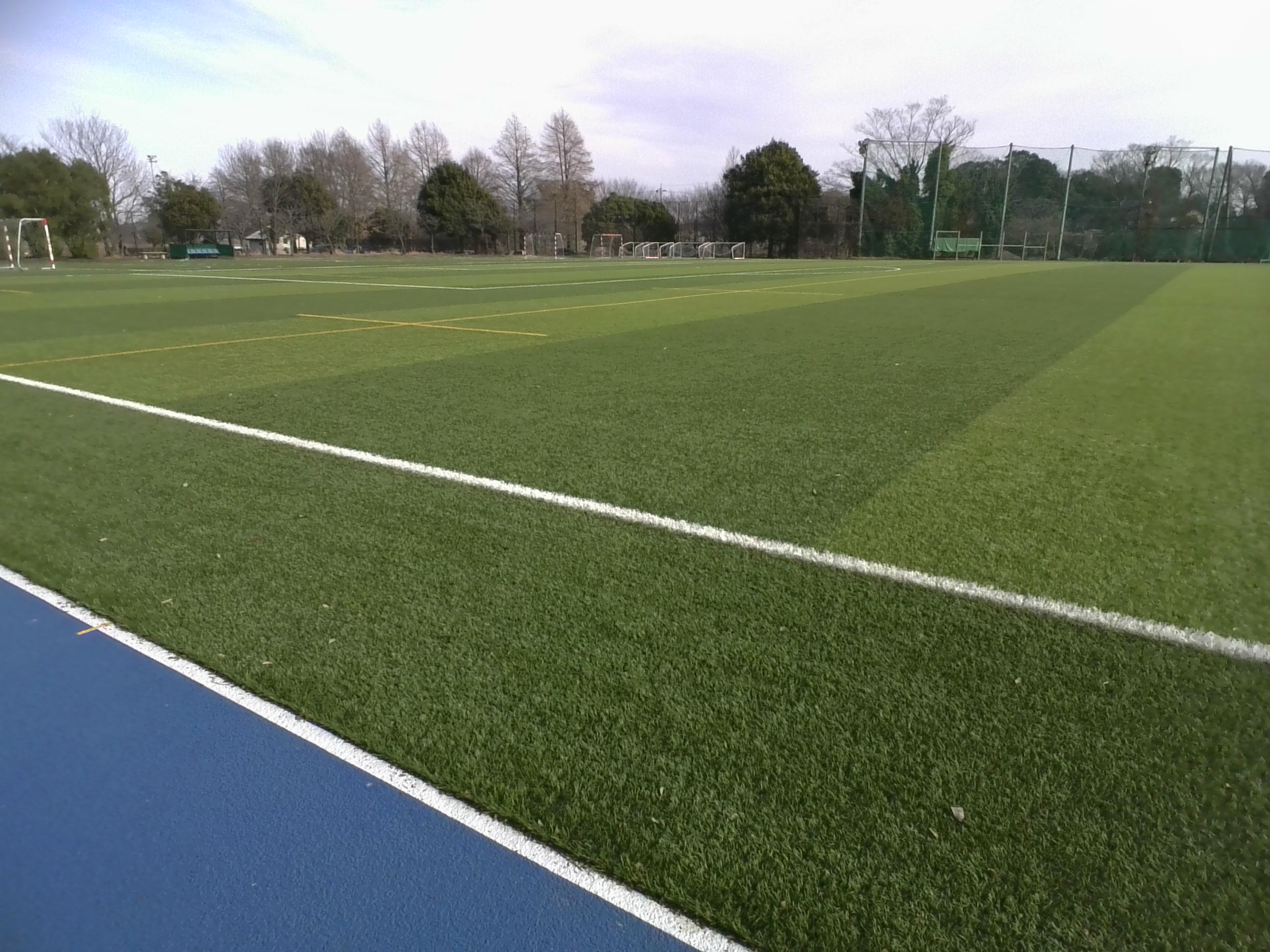 ラグビーコート