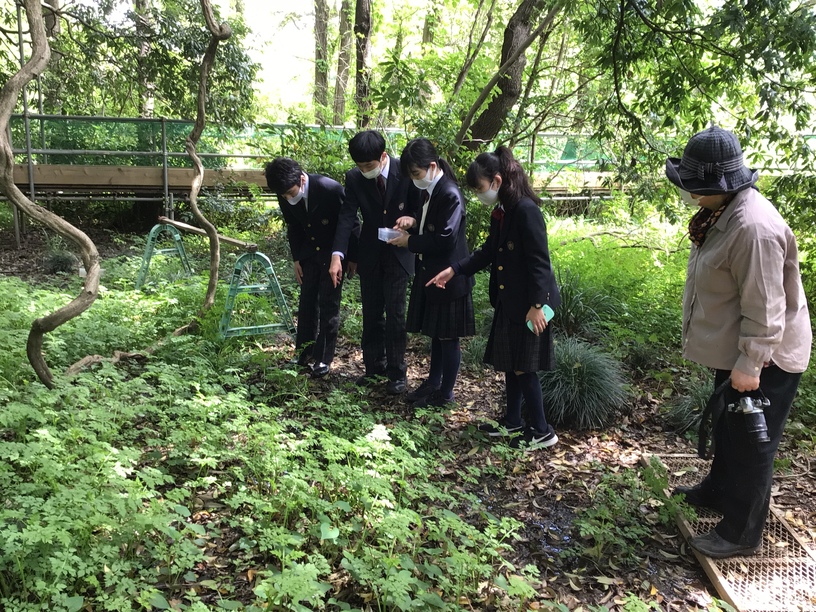 芝浦工大附属柏中学高等学校科学探究部